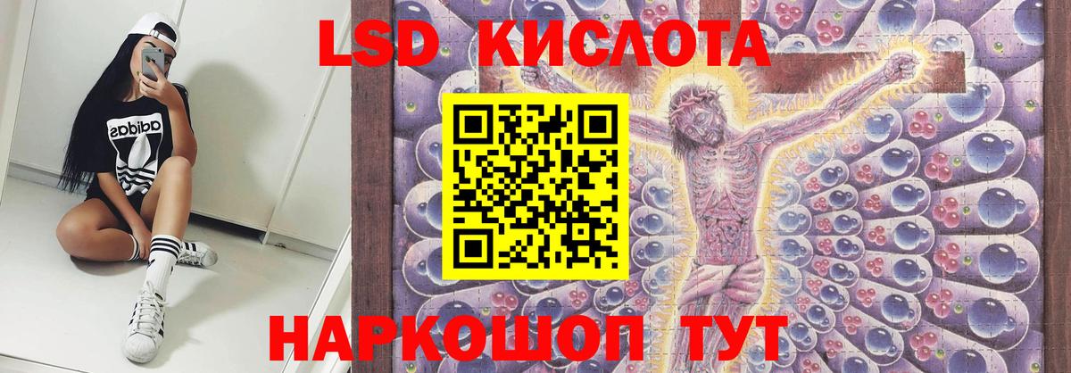 Заводоуковск  Лсд 25 экстази ecstasy  Вход с VPN  Лсд 25 экстази ecstasy 