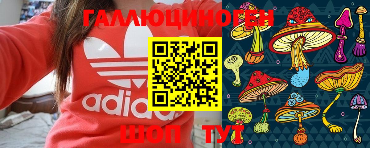 Заводоуковск  Галлюциногенные грибы Magic Shrooms  Вход с VPN 