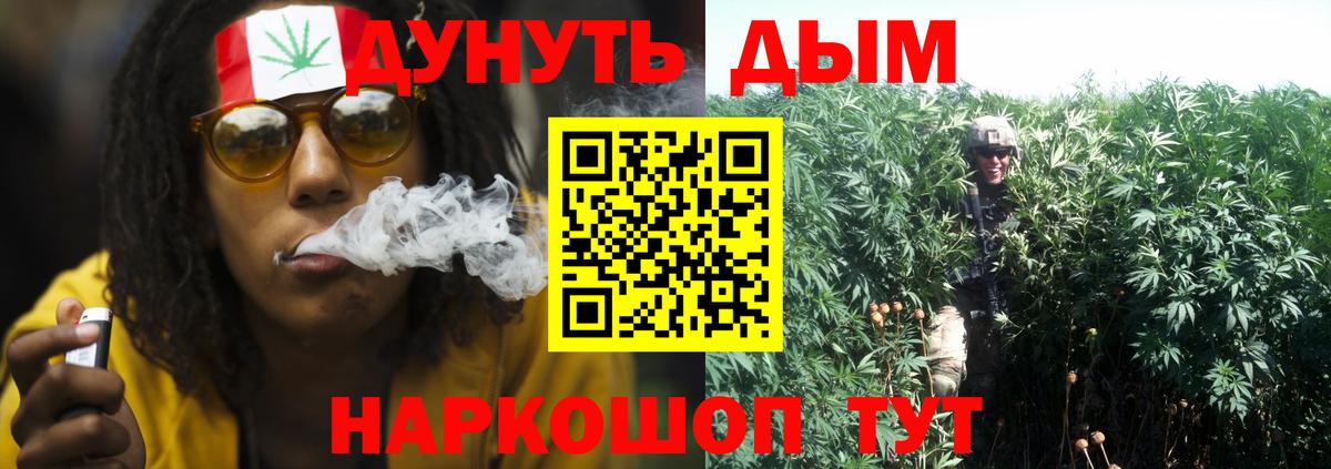 Бошки Шишки планчик  Вход с VPN  МАРИХУАНА OG Kush  Бошки Шишки VHQ  Канабис White Widow  Заводоуковск 
